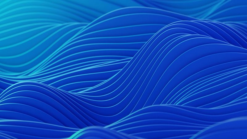 2025 Thought Leadership | Compass Lexecon